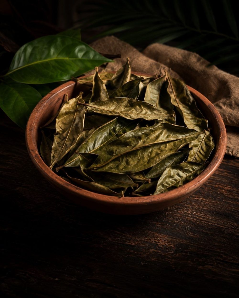 Hand-picked Indonesian dried soursop leaves prepared for herbal tea.